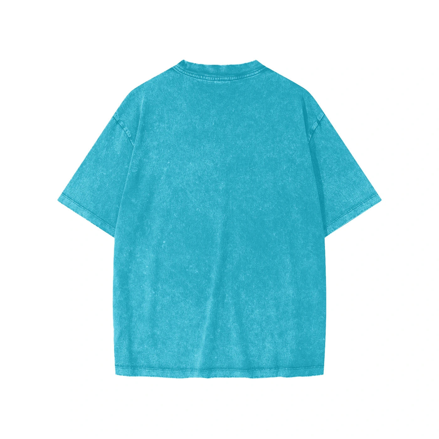 SM Snow Washed Kids T-shirt sky blue back