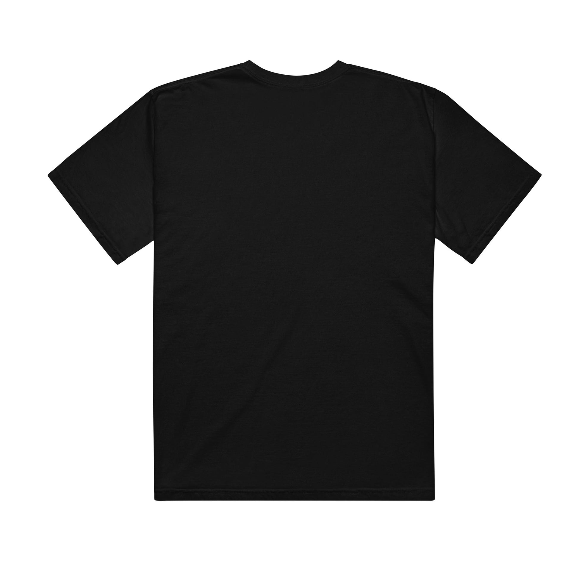 SM Isometric T-shirt black back