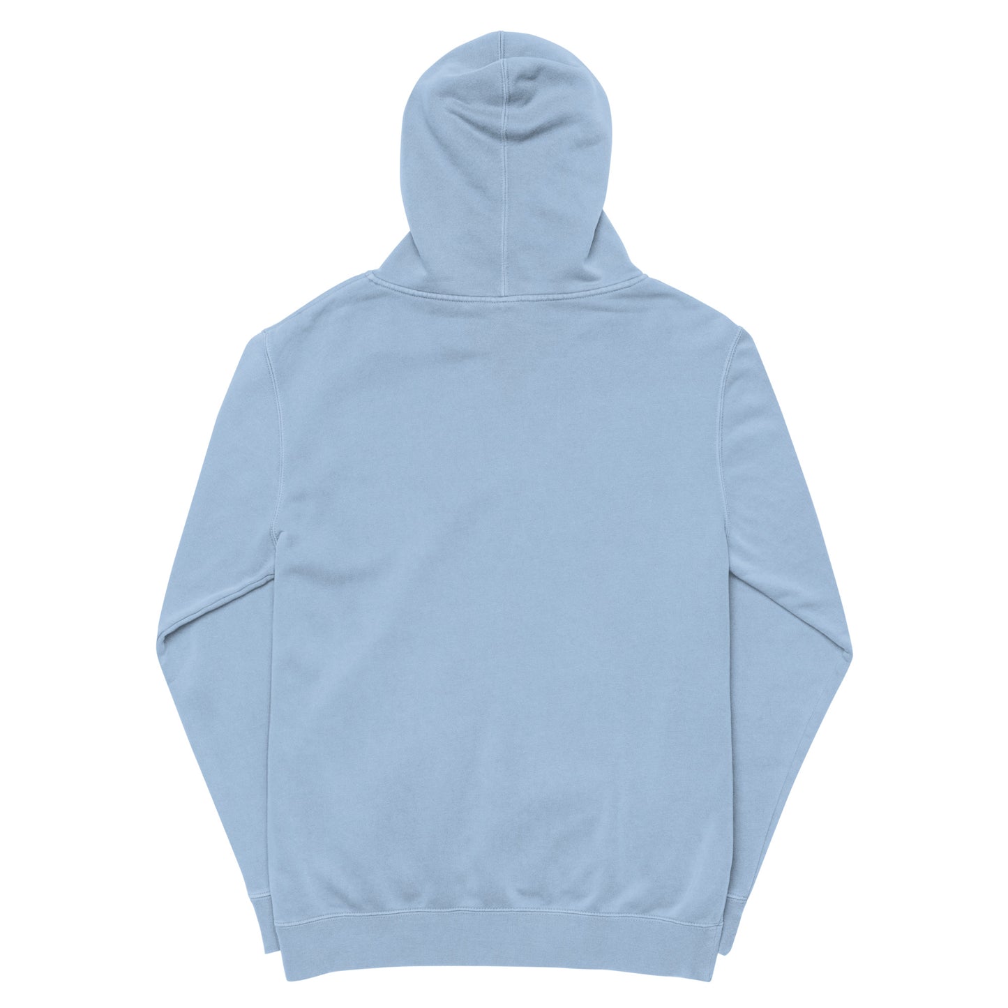 SM Hoodie Pigment Light Blue back